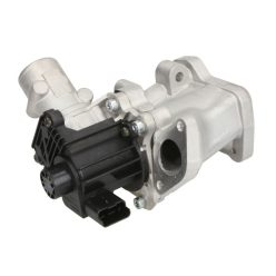Land Rover Freelander EGR Szelep (2.2D)